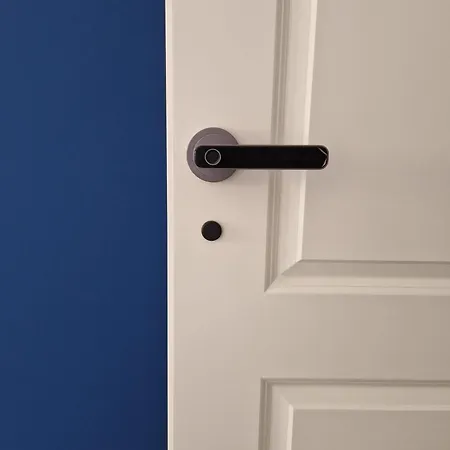 Stradivarious Firenze