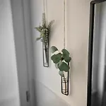 Guest house Stradivarious