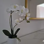 Guest house Stradivarious
