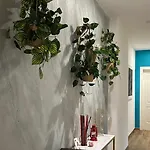 Guest house Stradivarious 3*