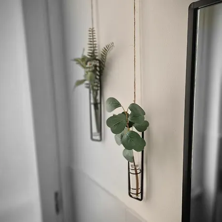 بيت ضيافة Stradivarious