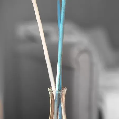 بيت ضيافة Stradivarious فلورنس