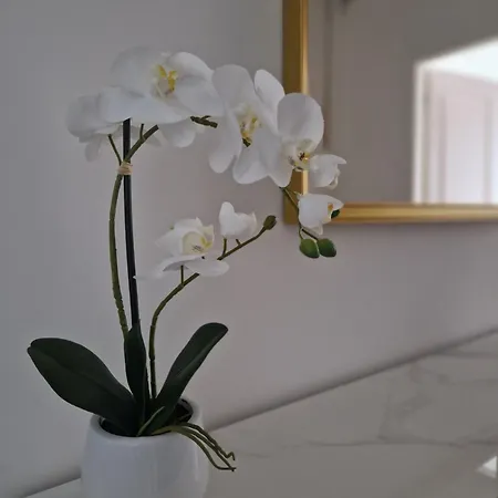 Casa de hóspedes Stradivarious